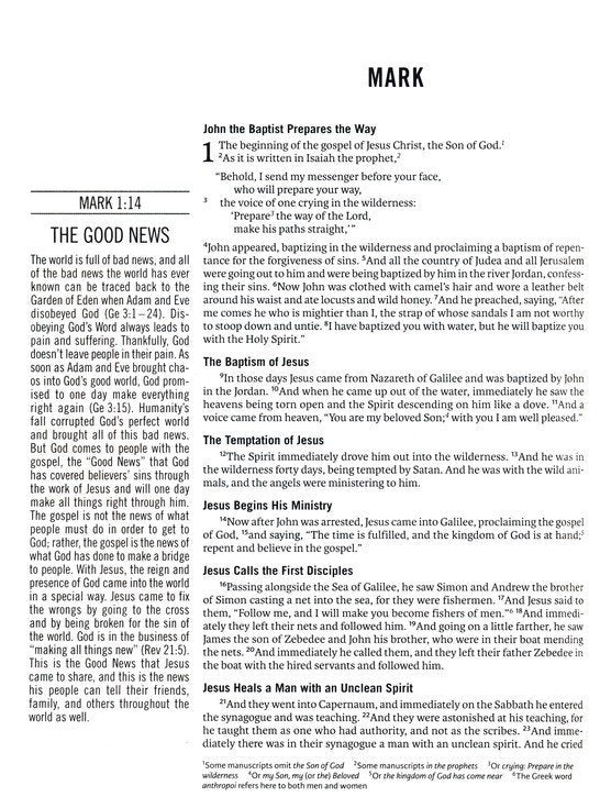 ESV The Jesus Bible Multi/Teal Leathersoft Indexed