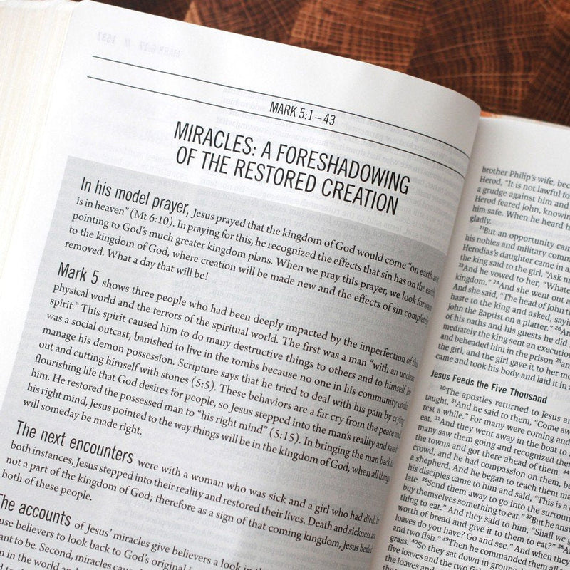 ESV The Jesus Bible Multi/Teal Leathersoft Indexed