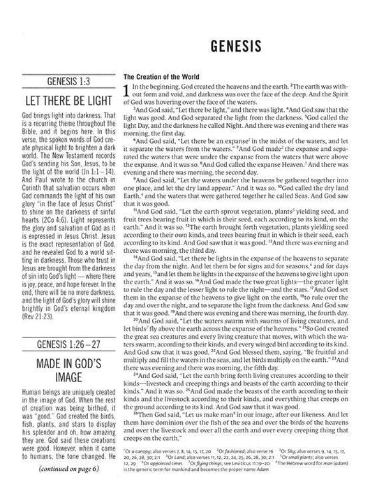 ESV The Jesus Bible Black Leathersoft