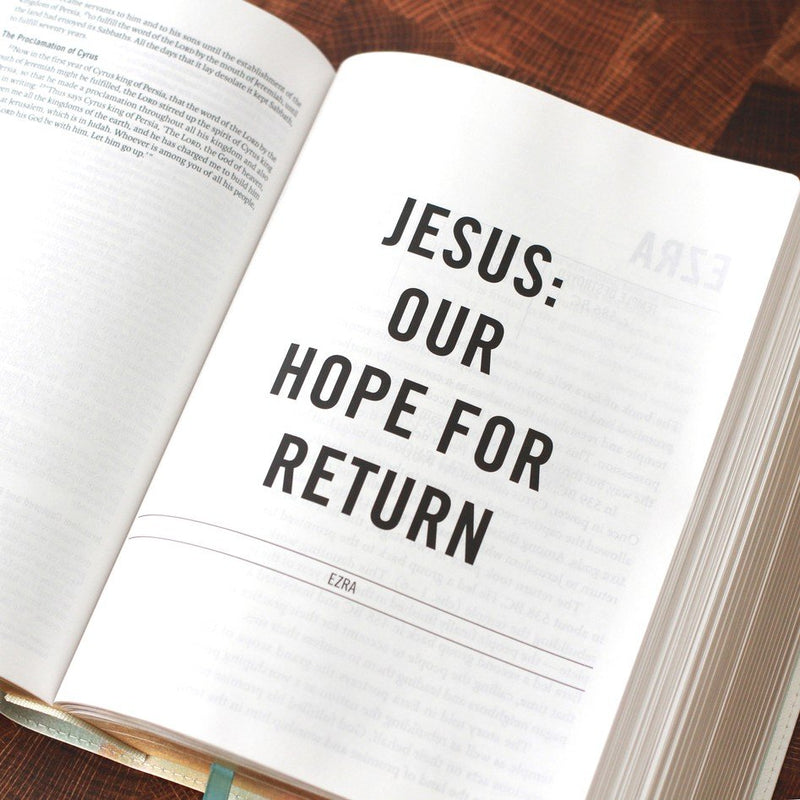 ESV The Jesus Bible Multi/Teal Leathersoft Indexed