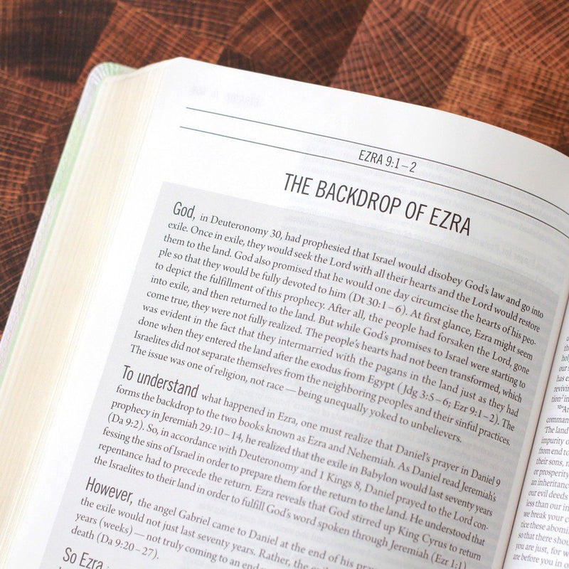 ESV The Jesus Bible Multi/Teal Leathersoft