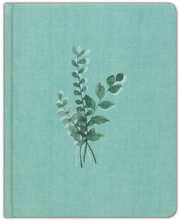 NIV Journal the Word Double-Column Bible Mint Cloth over Board