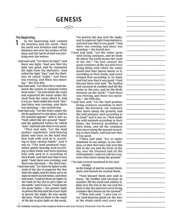 NIV Journal the Word Double-Column Bible Mint Cloth over Board