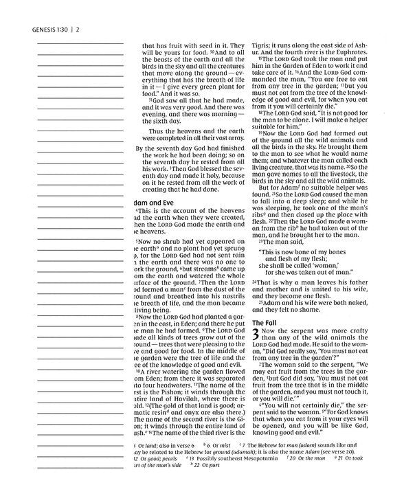 NIV Journal the Word Double-Column Bible Mint Cloth over Board
