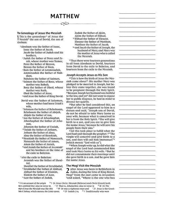 NIV Journal the Word Double-Column Bible Mint Cloth over Board