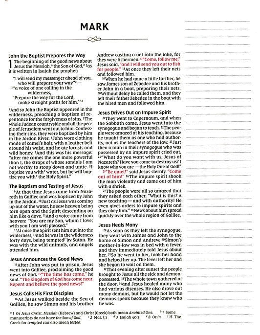 NIV Journal the Word Bible for Girls w/Magnetic Flap *