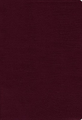 NASB Thinline Large Print Bible - Burgundy Bonded Leather *