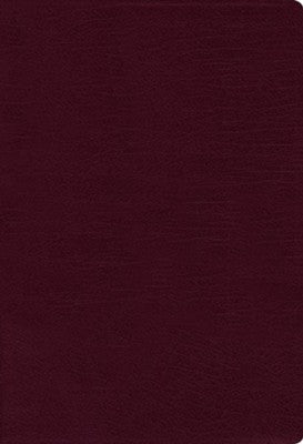 NASB Thinline Large Print Bible - Burgundy Bonded Leather