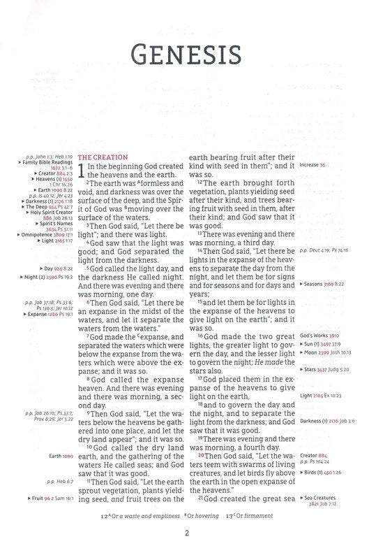 NASB 1995 Thompson Chain Ref Bible Brown Leathersoft