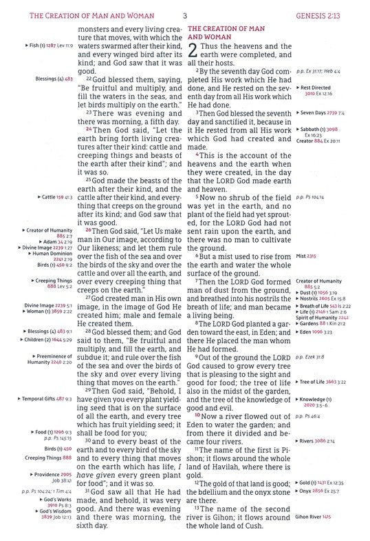 NASB 1995 Thompson Chain Ref Bible Black Genuine Calfskin Leather