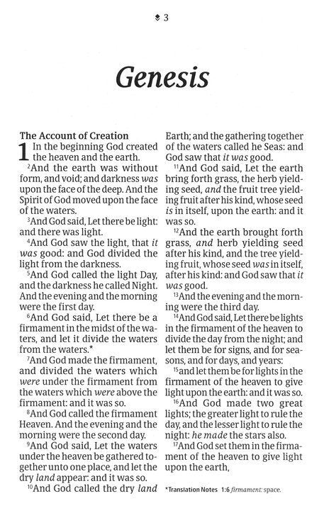 KJV Premium Value Thinline Large Print Bible,  Teal Floral Leatherlike