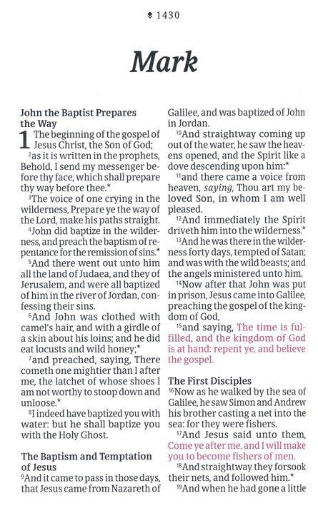 KJV Premium Value Thinline Large Print Bible,  Teal Floral Leatherlike