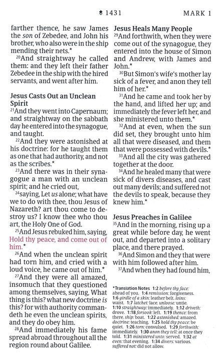 KJV Premium Value Thinline Large Print Bible,  Teal Floral Leatherlike