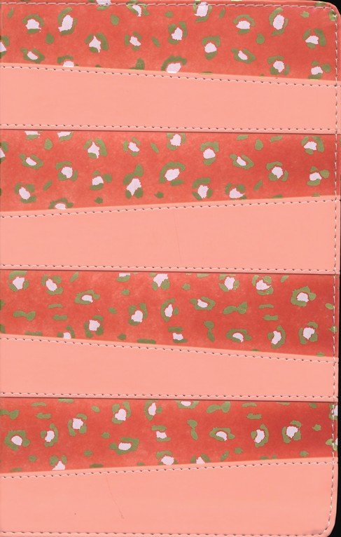 NIV Adventure Bible Full-Color Coral Indexed