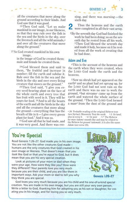 Adventure Bible, NIV Chocolate/Toffee Duotone