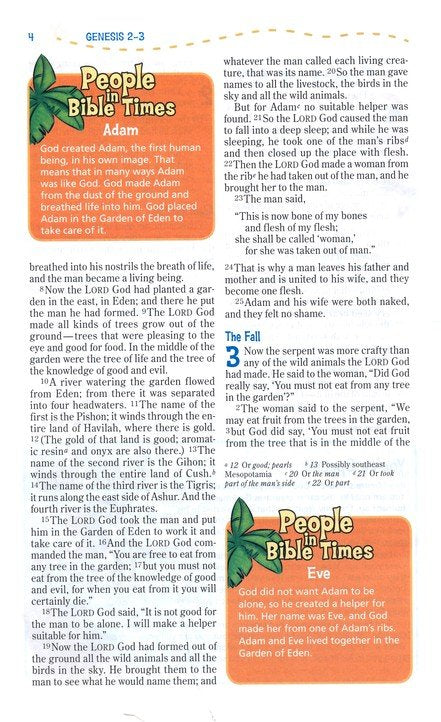 Adventure Bible, NIV Chocolate/Toffee Duotone