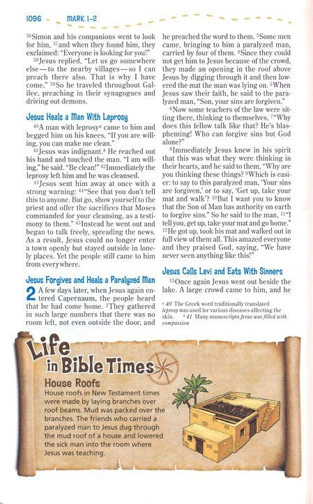 Adventure Bible, NIV Chocolate/Toffee Duotone