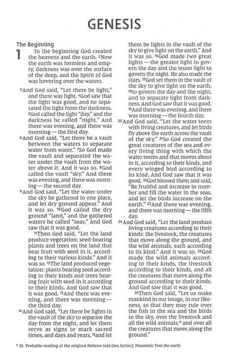 NIV Larger Print Economy Paperback Bible