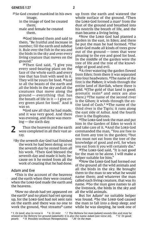 NIV Larger Print Economy Paperback Bible