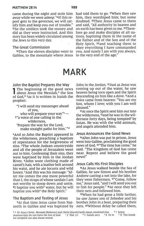 NIV Larger Print Economy Paperback Bible