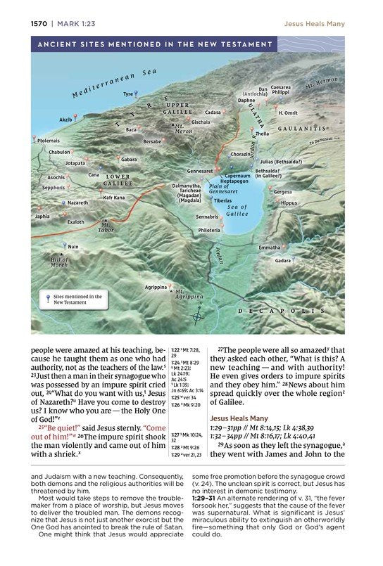 NIV Application Study Bible Black Bonded Leather Indexed