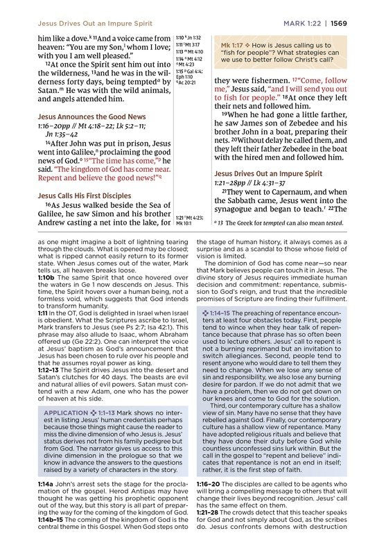 NIV Application Study Bible Brown Leathersoft