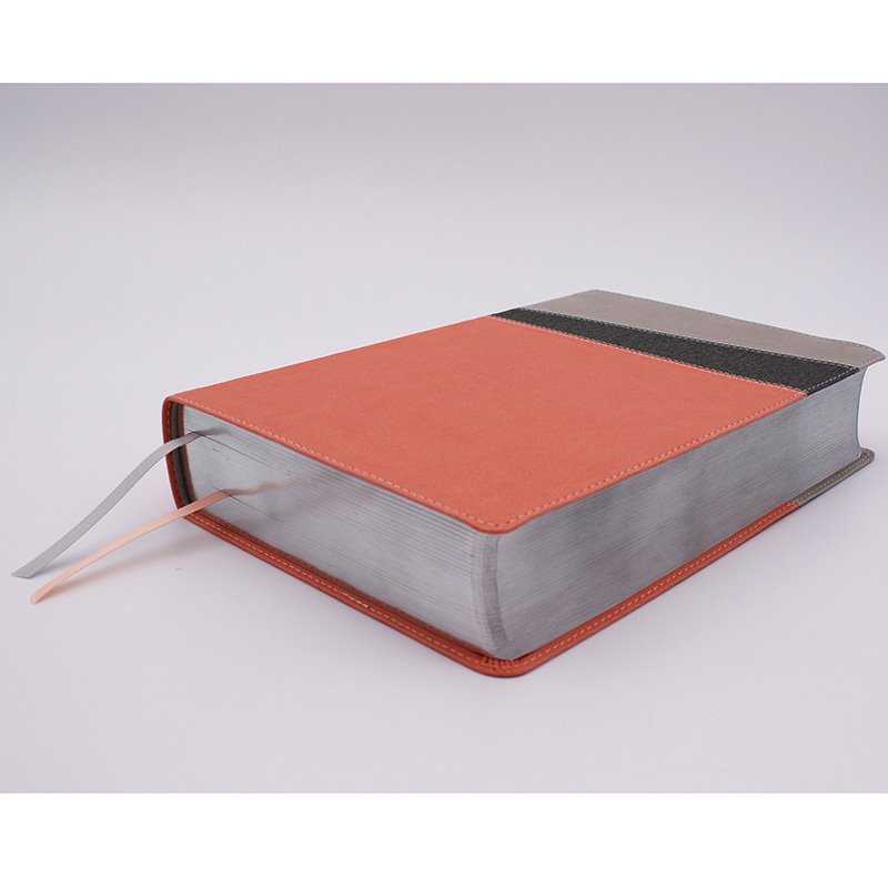 NIV Application Study Bible Coral/Gray Leathersoft