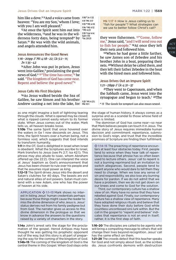 NIV Application Bible Large Print Pink/Gray Leathersoft