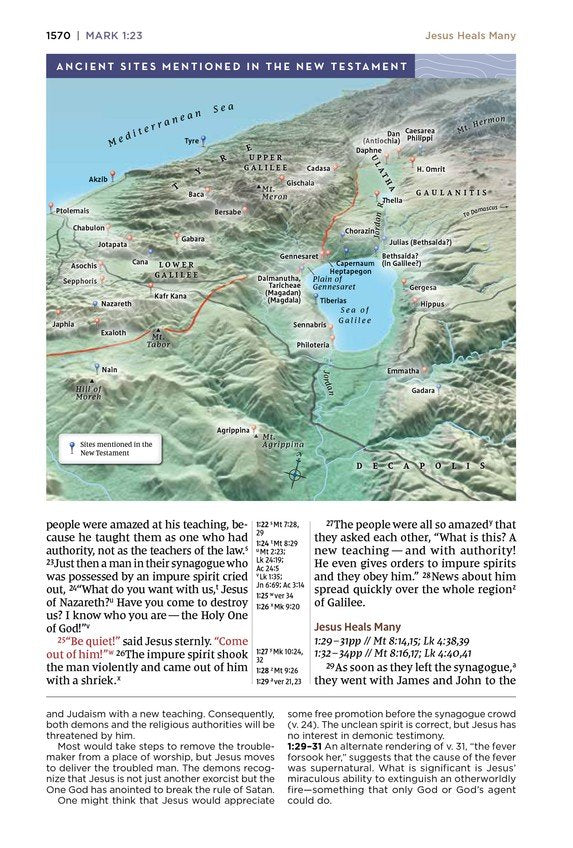 NIV Application Bible Large Print Pink/Gray Leathersoft