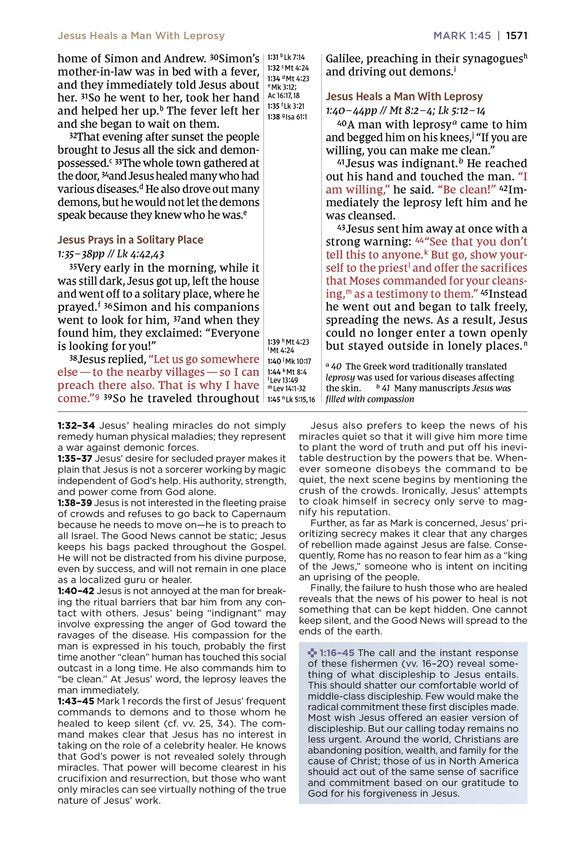 NIV  Application Bible Large Print Pink/Gray Leathersoft Indexed