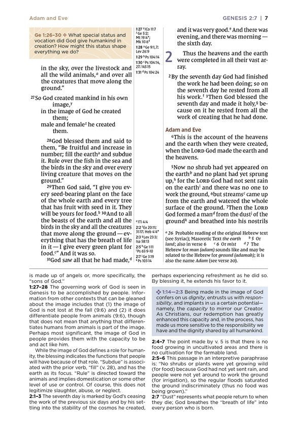 NIV Application Bible Large Print Pink/Gray Leathersoft