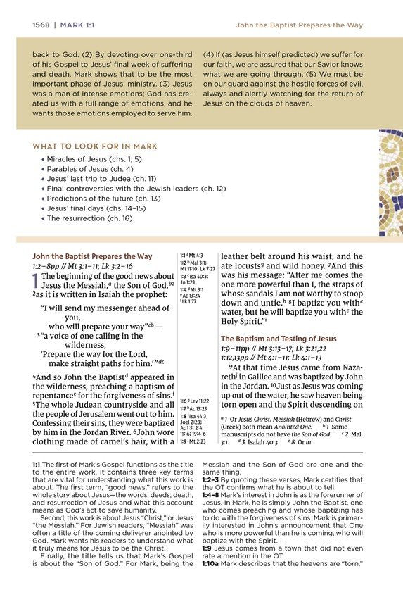 NIV Application Bible Large Print Brown Leathersoft, Indexed (top, due 11/14/25)