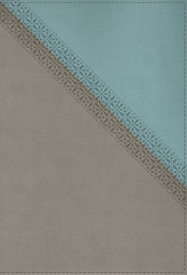 NIV Application Study Bible Teal/Gray Leathersoft, Indexed