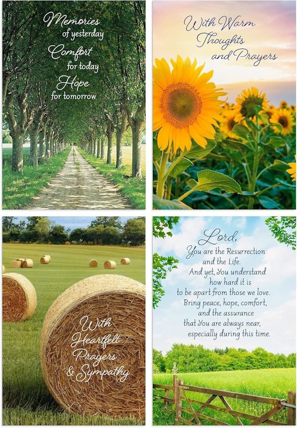 Boxed Cards - Sympathy: Rural Scenes