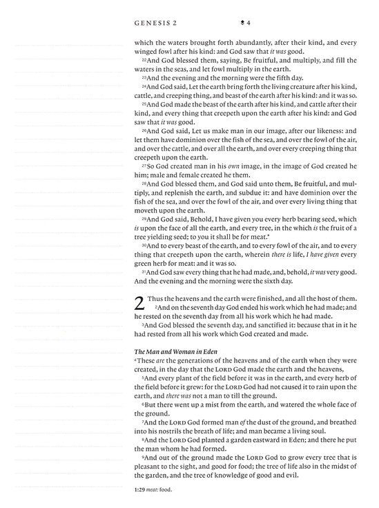 KJV Wide Margin Large Print Journal Bible Pink Rose, Indexed