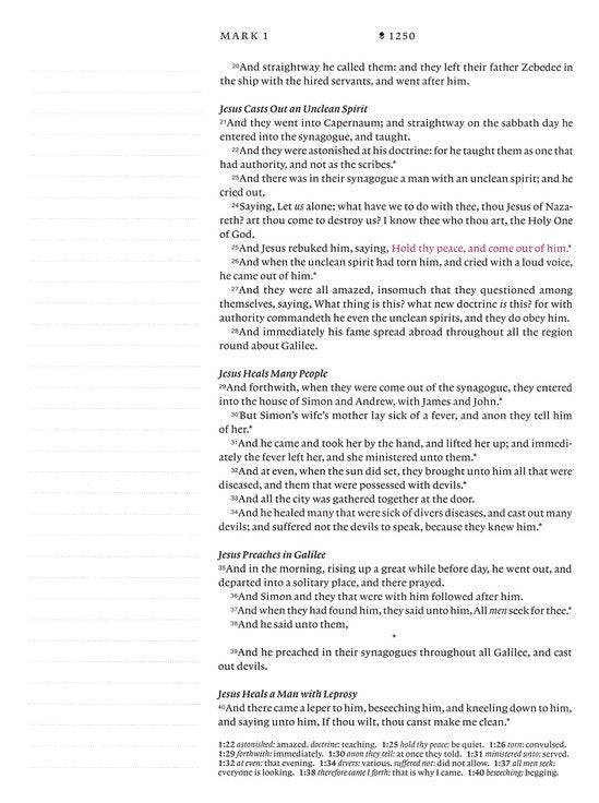 KJV Wide Margin Large Print Journal Bible Pink Rose, Indexed