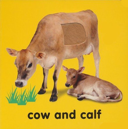 Baby Touch & Feel: Bible Animals