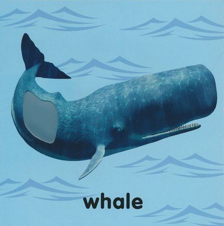 Baby Touch & Feel: Bible Animals