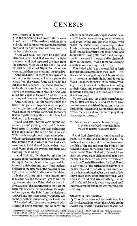 ESV Premium Church Bible Blush Rose TruTone