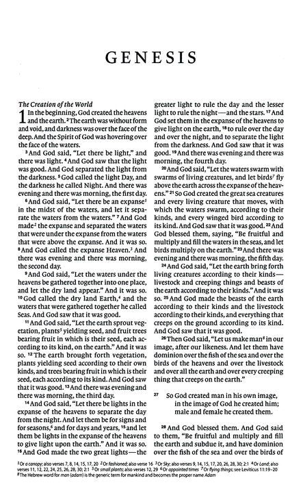 ESV Premium Gift Bible Brown Trutone