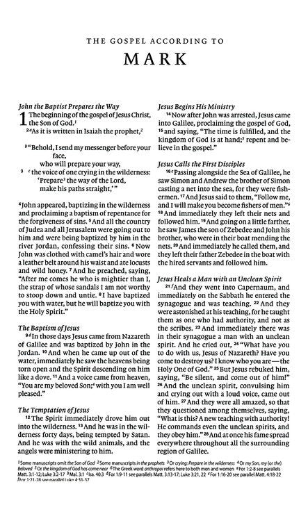 ESV Premium Gift Bible Brown Trutone