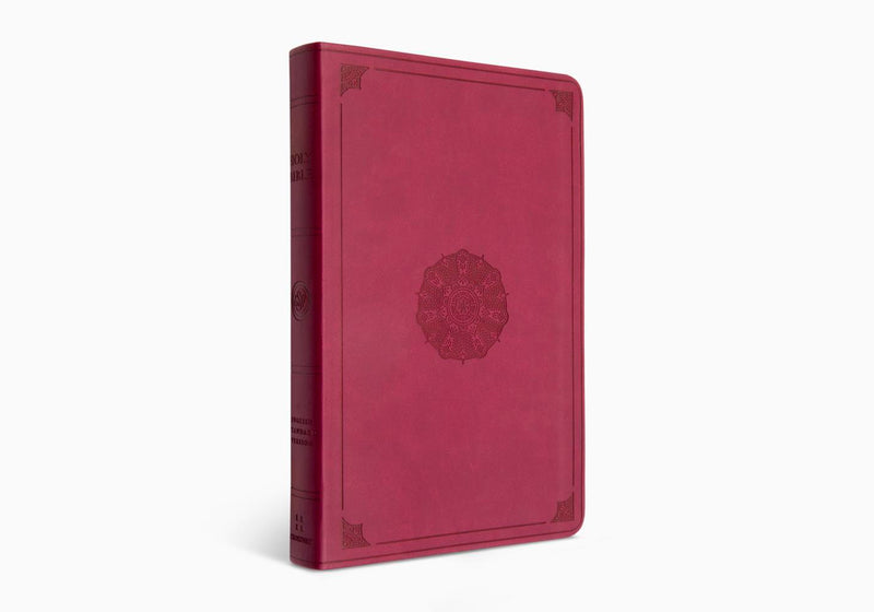 ESV Premium Gift Bible Raspberry Trutone