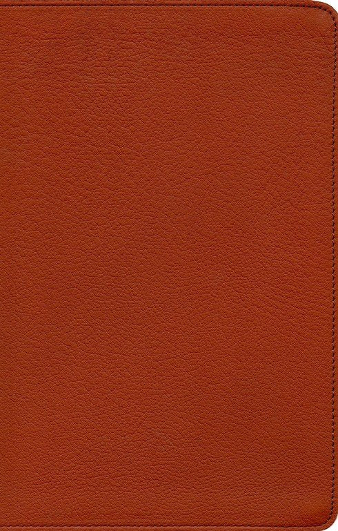 NASB 2020 Single Column Personal Size Bible Burnt Sienna Leathertouch