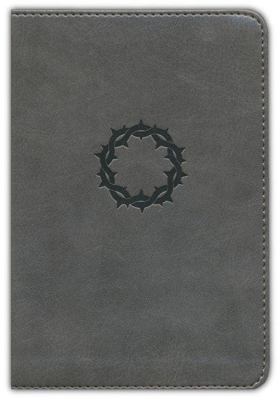 NASB 2020 Large Print Compact Bible Charcoal Leathertouch