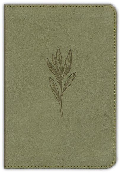 NASB 2020 Large Print Compact Bible Sage Suedesoft Leathertouch