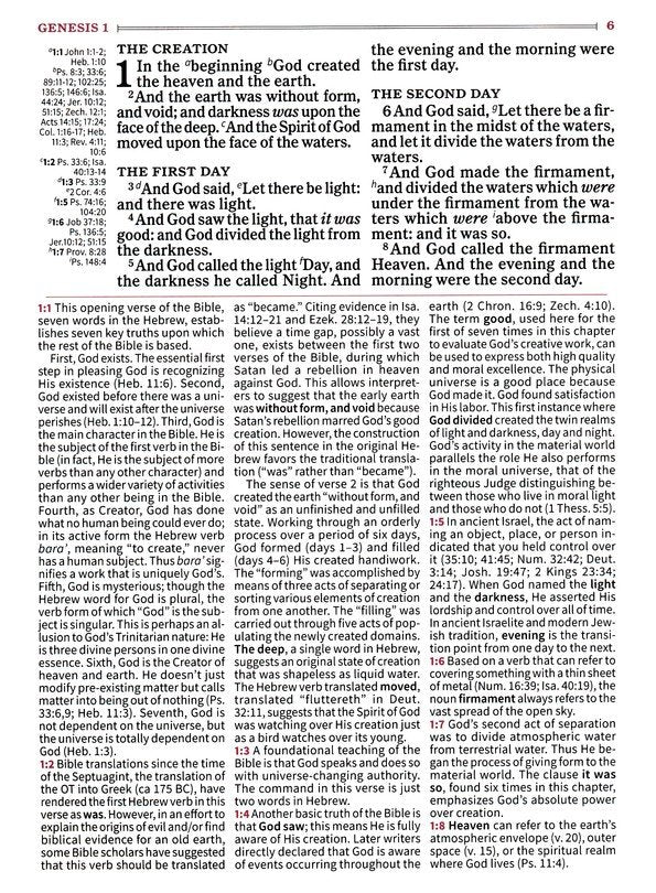 KJV Large Print Study Bible Saddle Brown LeatherTouch (Full-Color)