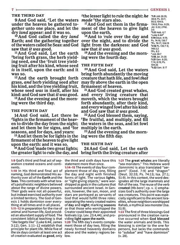 KJV Large Print Study Bible Saddle Brown LeatherTouch (Full-Color)