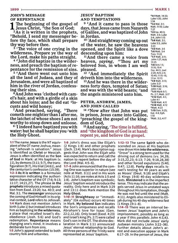 KJV Large Print Study Bible Saddle Brown LeatherTouch (Full-Color)