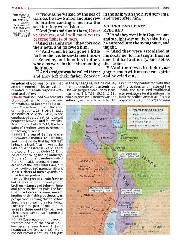 KJV Large Print Study Bible Saddle Brown LeatherTouch (Full-Color)