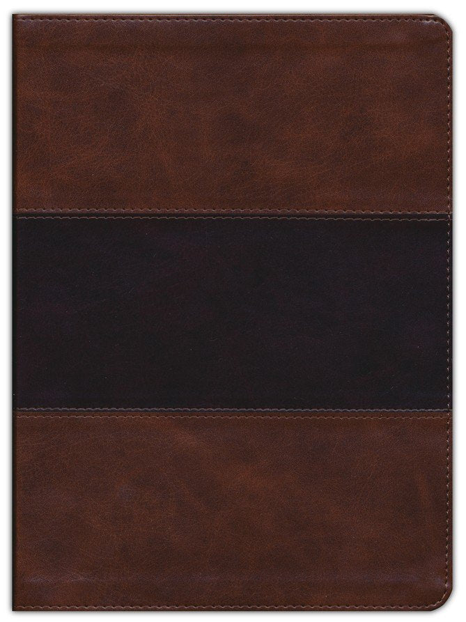 KJV Large Print Study Bible Saddle Brown LeatherTouch (Full-Color)